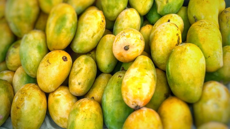 mango nutrition