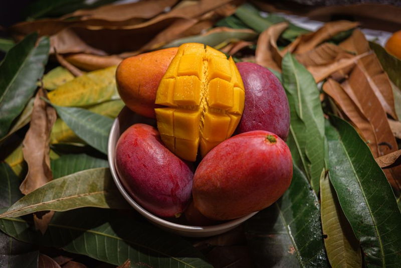 mango nutrition